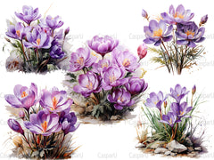 Crocus In The Crisp Clipart - CraftNest