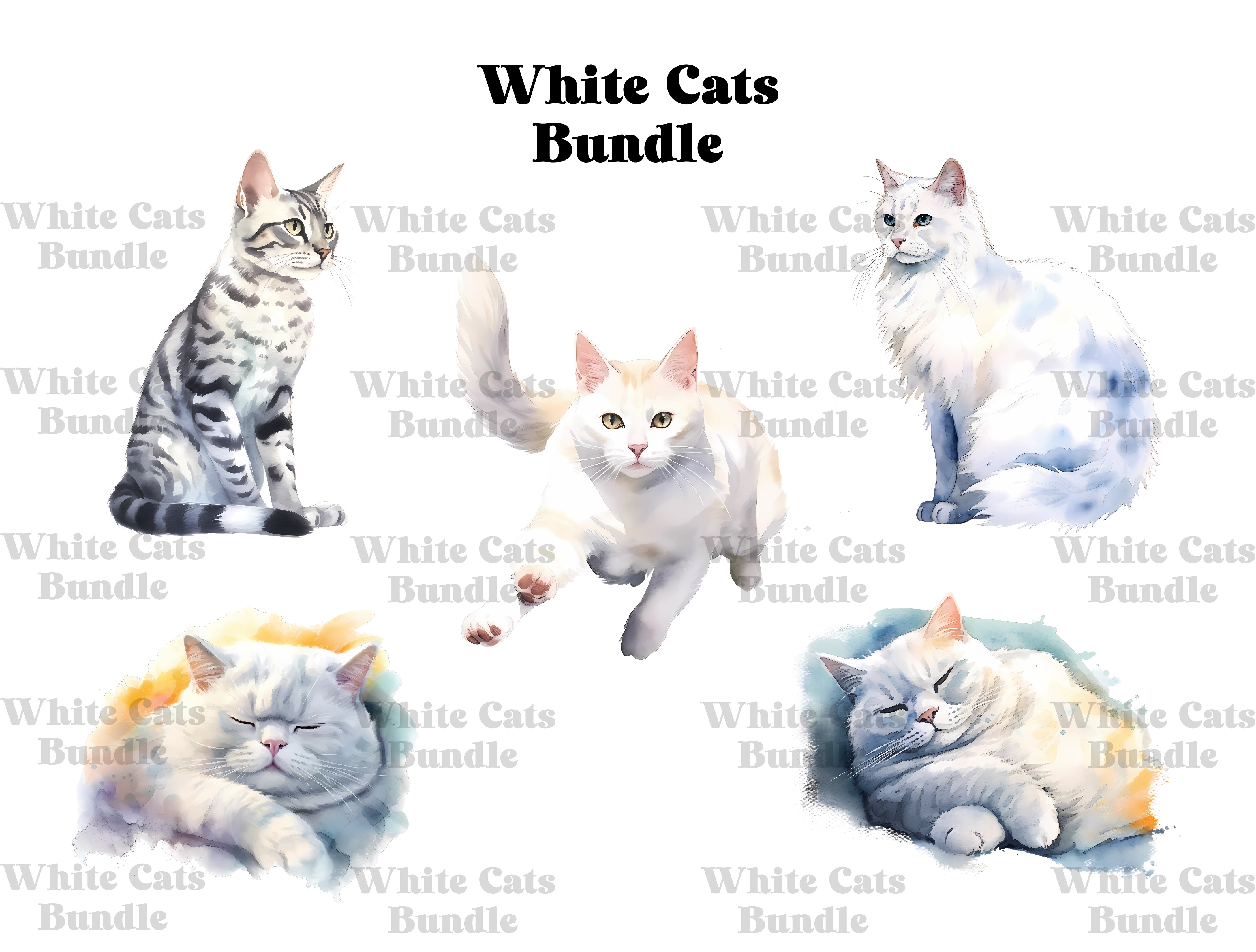 White Cats Clipart - CraftNest