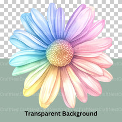 Daisies Clipart Bundle - CraftNest - Digital Crafting and Art