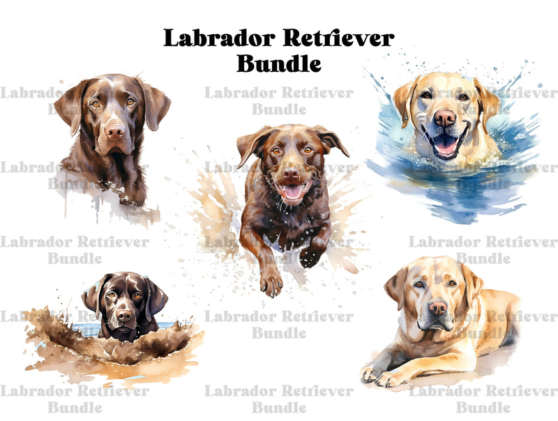 Labrador Retriever Clipart - CraftNest