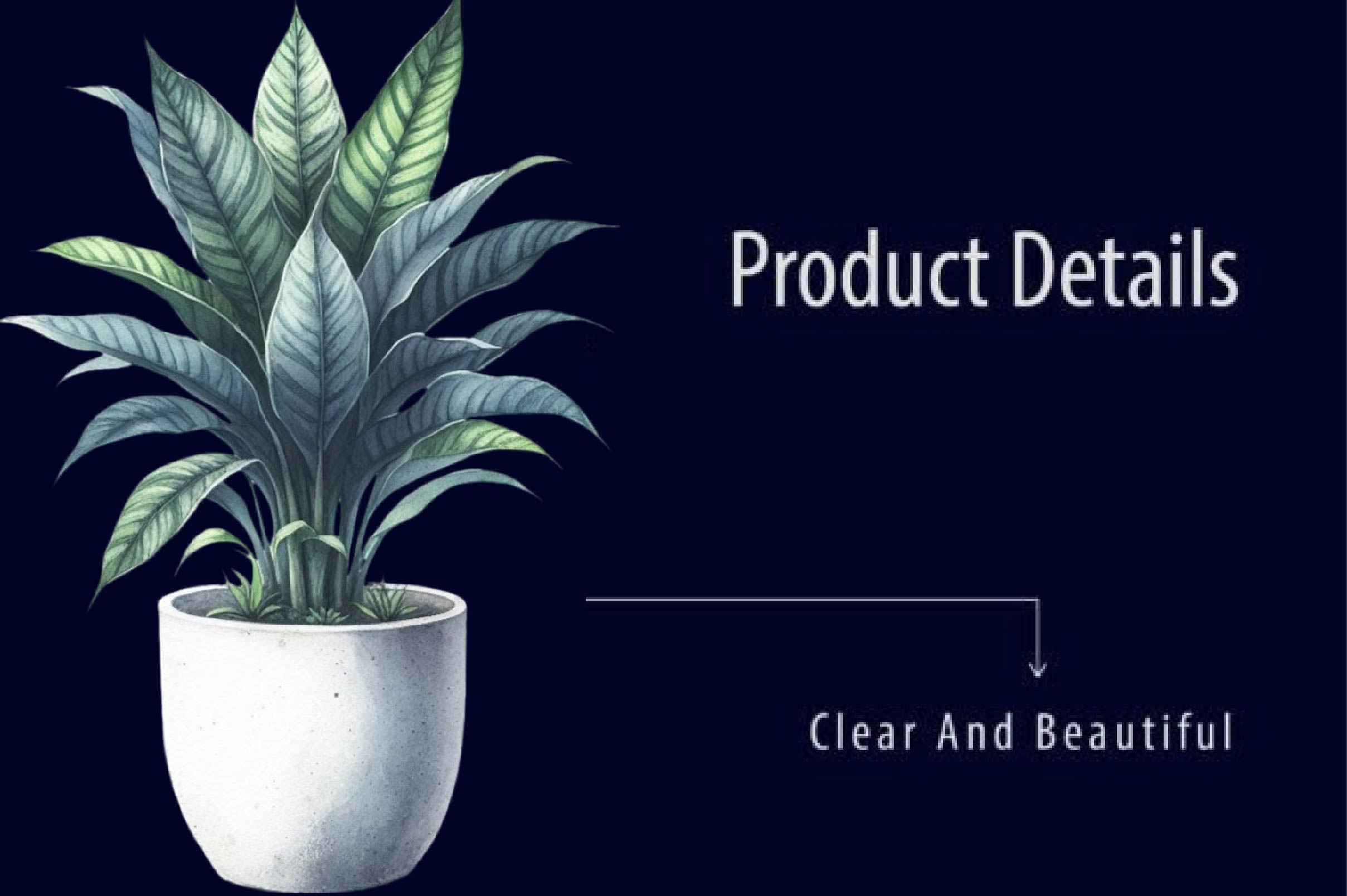 Potted Plants Clipart Bundle 1 - CraftNest - Digital Crafting and Art