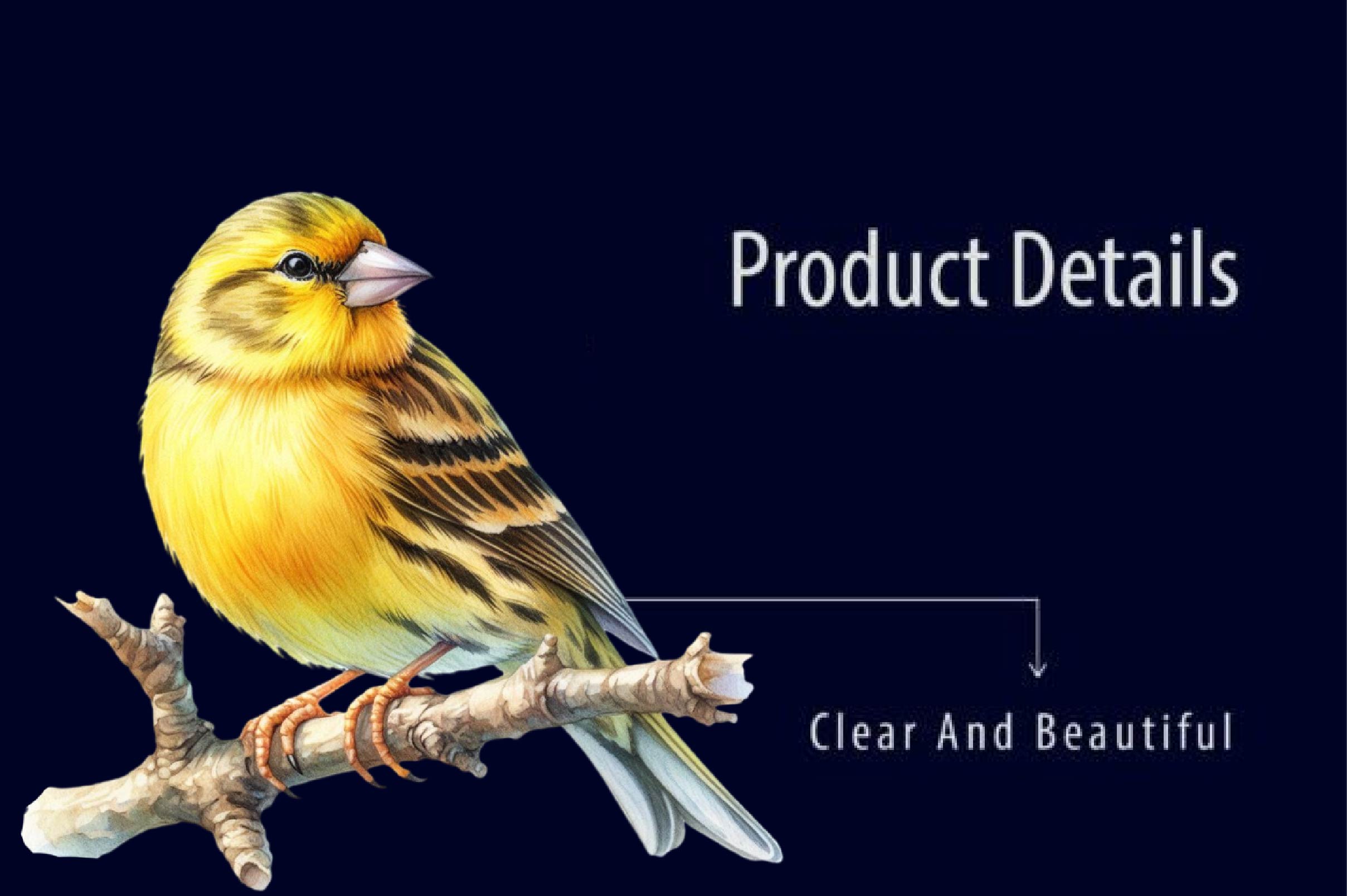 Canary Clipart Bundle - CraftNest - Digital Crafting and Art