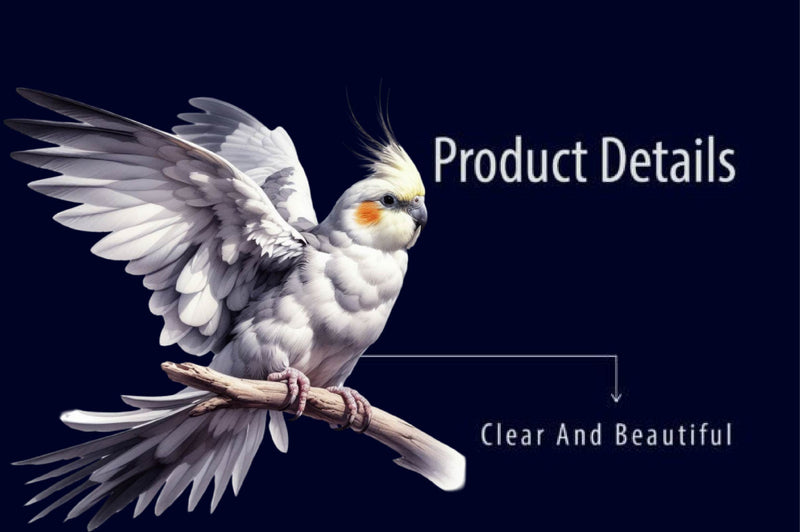 Cockatiel Clipart Bundle - CraftNest - Digital Crafting and Art