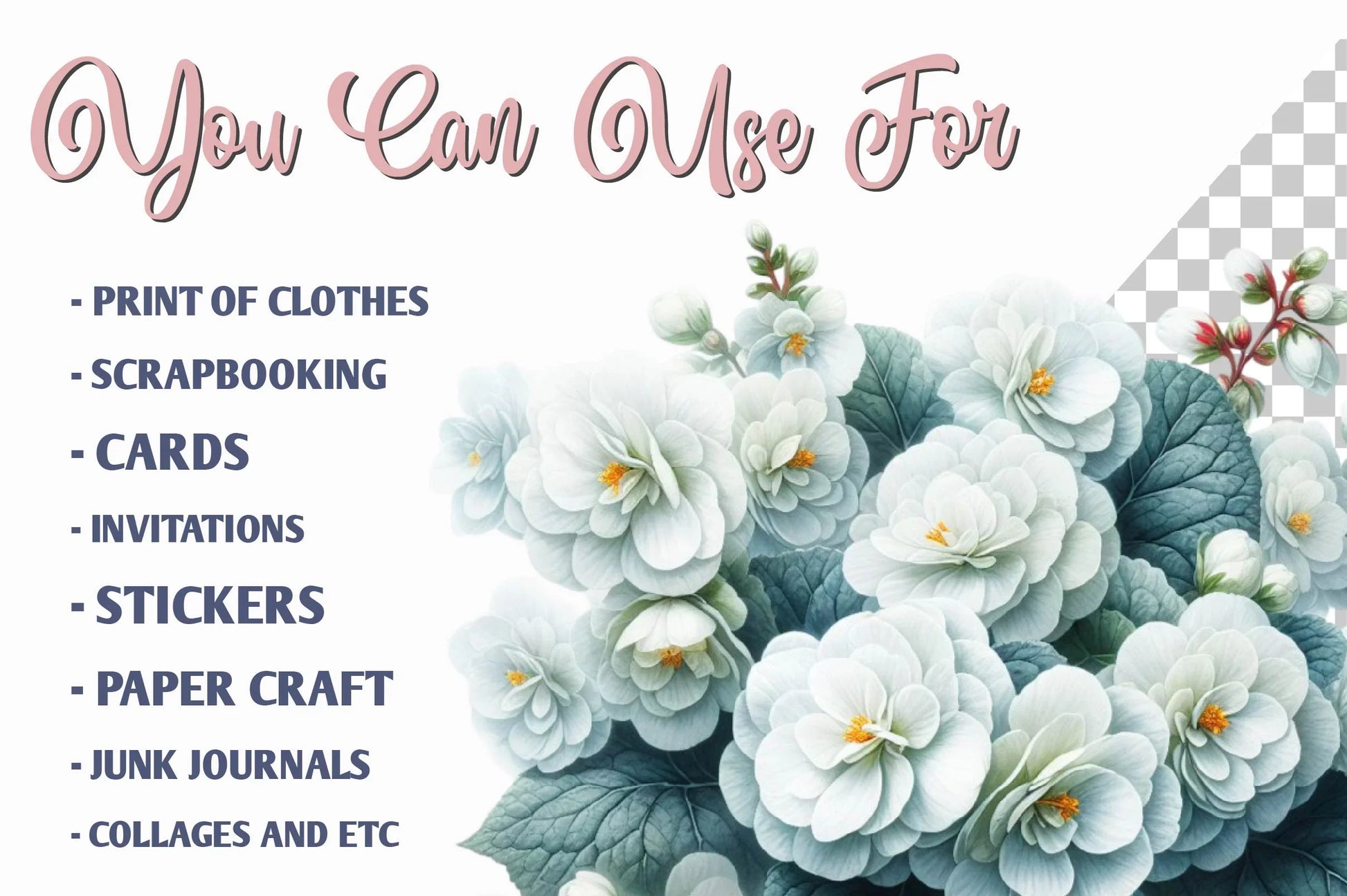 Begonia Flower Clipart Bundle - CraftNest - Digital Crafting and Art