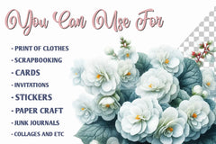 Begonia Flower Clipart Bundle - CraftNest - Digital Crafting and Art