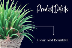 Spring Grass In Basket Clipart Bundle - CraftNest - Digital Crafting and Art