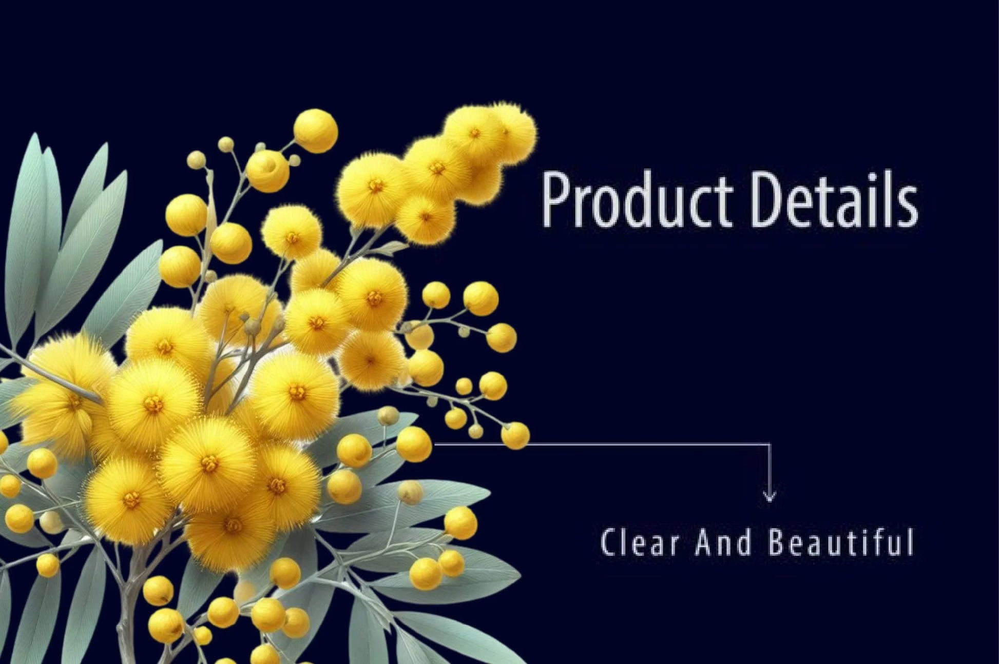 Mimosa Flower Clipart Bundle - CraftNest - Digital Crafting and Art