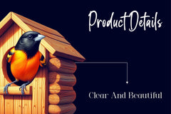 Baltimore Oriole Bird Clipart Bundle - CraftNest - Digital Crafting and Art