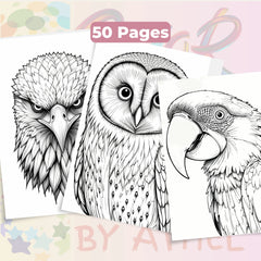 Bird Portraits Coloring Book Bundle - CraftNest - Digital Crafting and Art