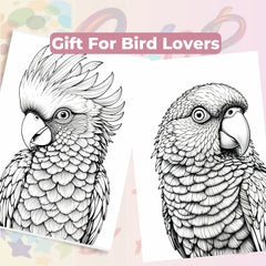 Bird Portraits Coloring Book Bundle - CraftNest - Digital Crafting and Art