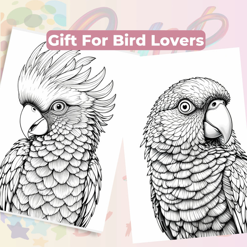 Bird Portraits Coloring Book Bundle - CraftNest - Digital Crafting and Art