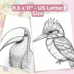 Bird Portraits Coloring Book Bundle - CraftNest - Digital Crafting and Art