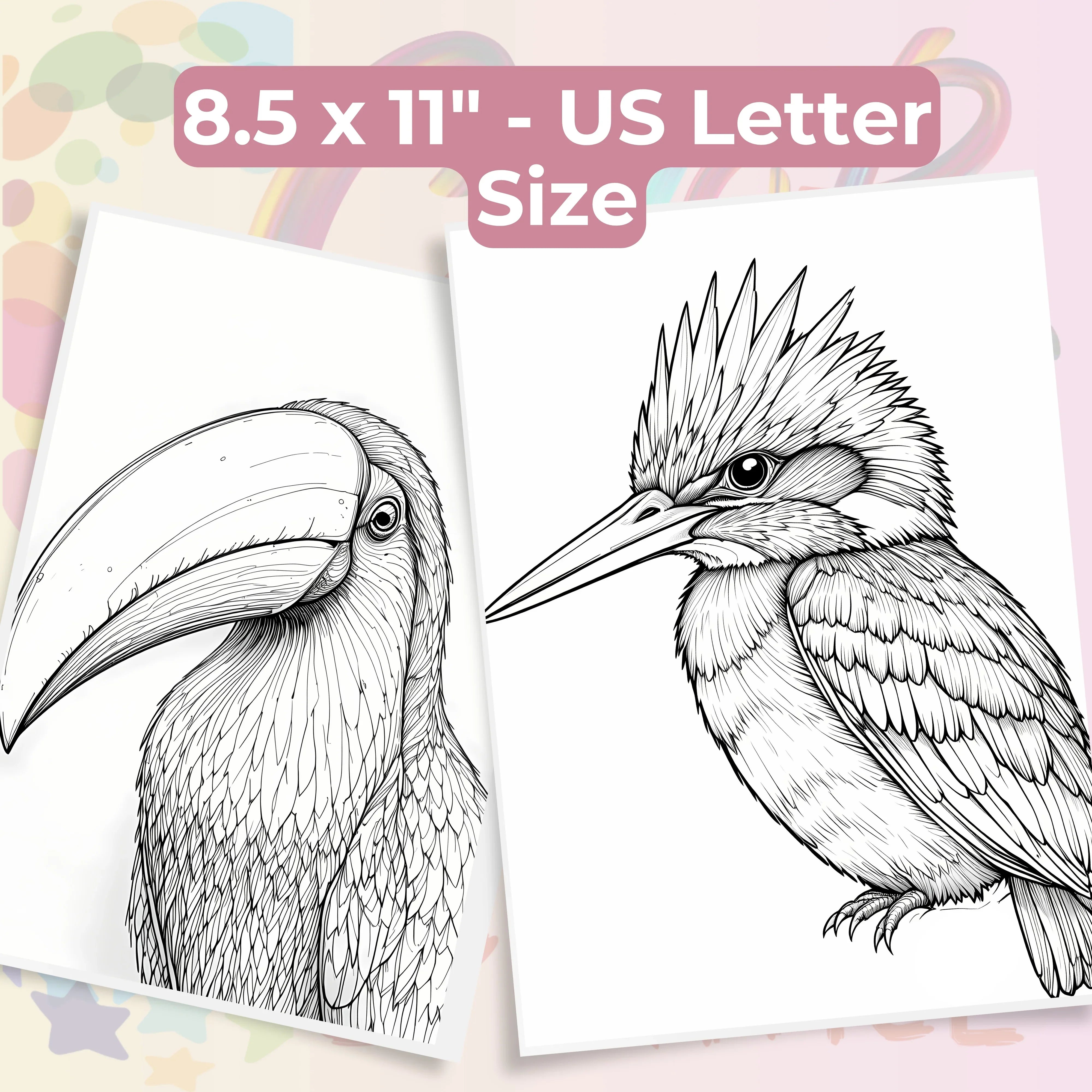 Bird Portraits Coloring Book Bundle - CraftNest - Digital Crafting and Art