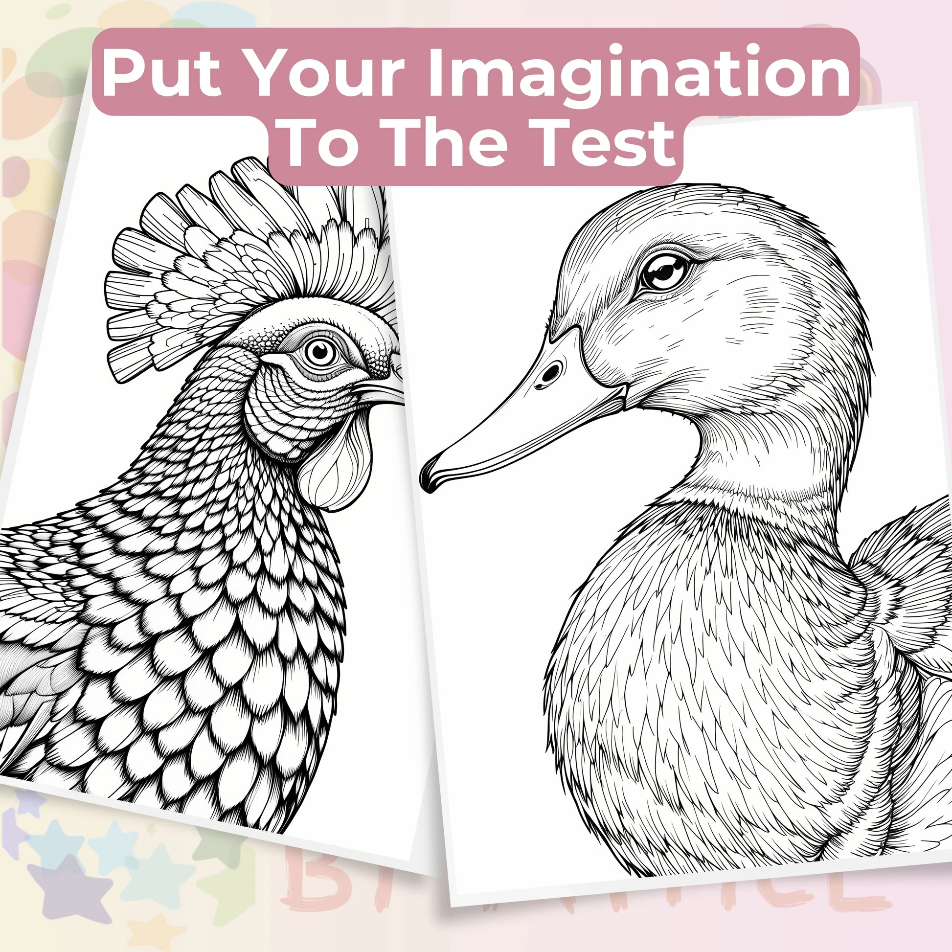 Bird Portraits Coloring Book Bundle - CraftNest - Digital Crafting and Art