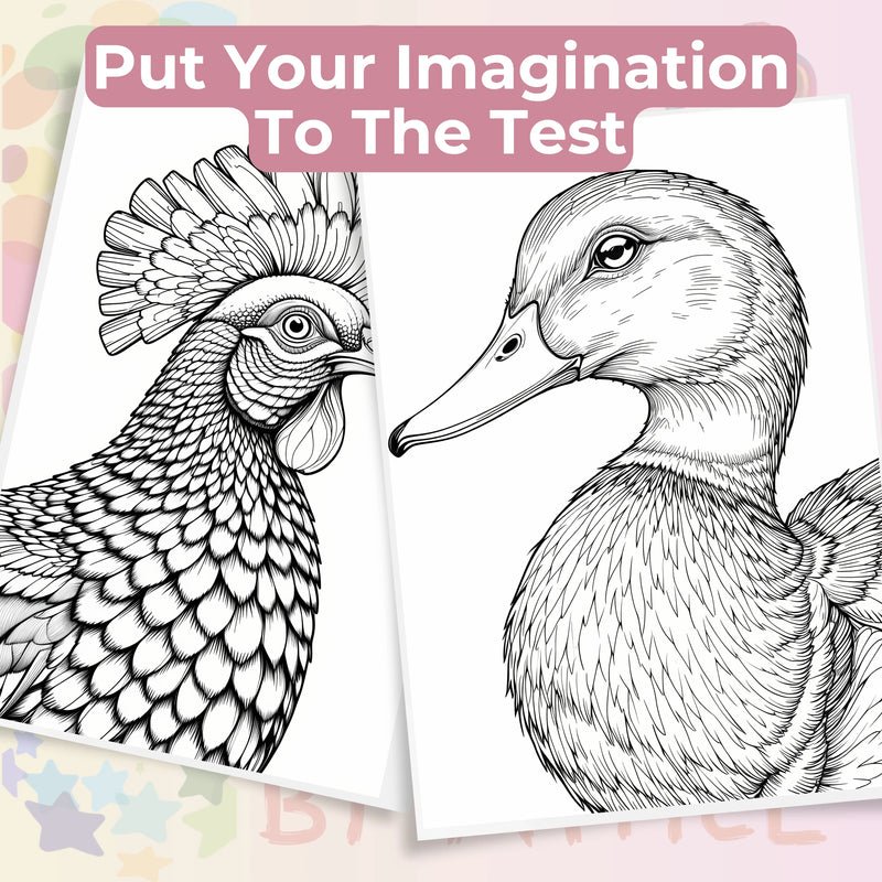 Bird Portraits Coloring Book Bundle - CraftNest - Digital Crafting and Art