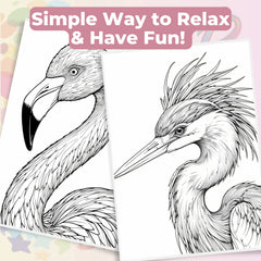 Bird Portraits Coloring Book Bundle - CraftNest - Digital Crafting and Art