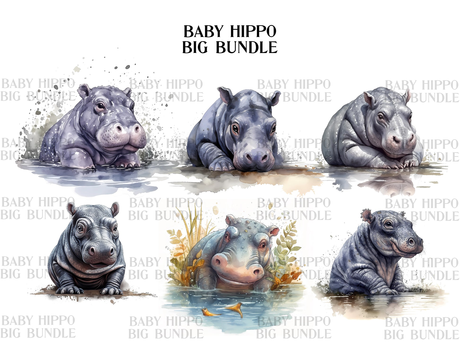 Baby Hippo Clipart - CraftNest