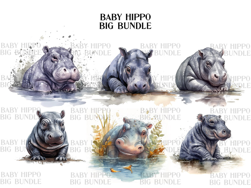 Baby Hippo Clipart - CraftNest