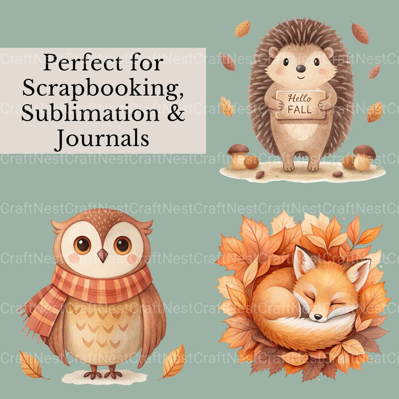 Woodland Animals 3 Clipart Bundle - CraftNest - Digital Crafting and Art