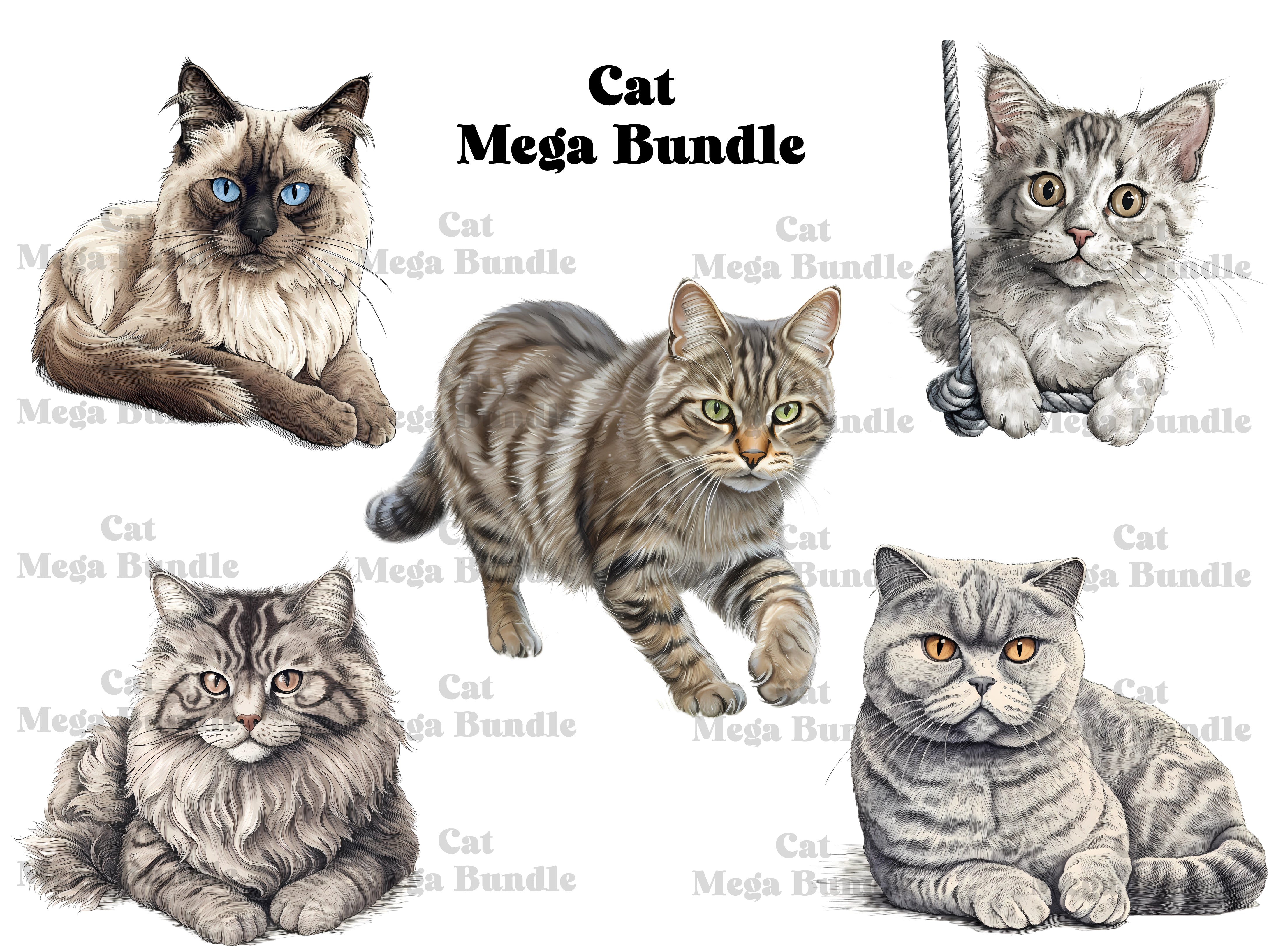 Cats Clipart - CraftNest