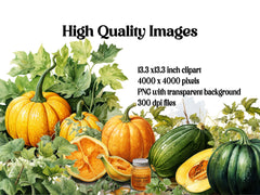 Pumpkin Varieties Clipart - CraftNest