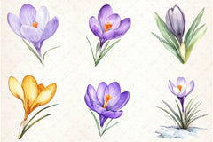 Crocuses Flowers Clipart Bundle - CraftNest - Digital Crafting and Art