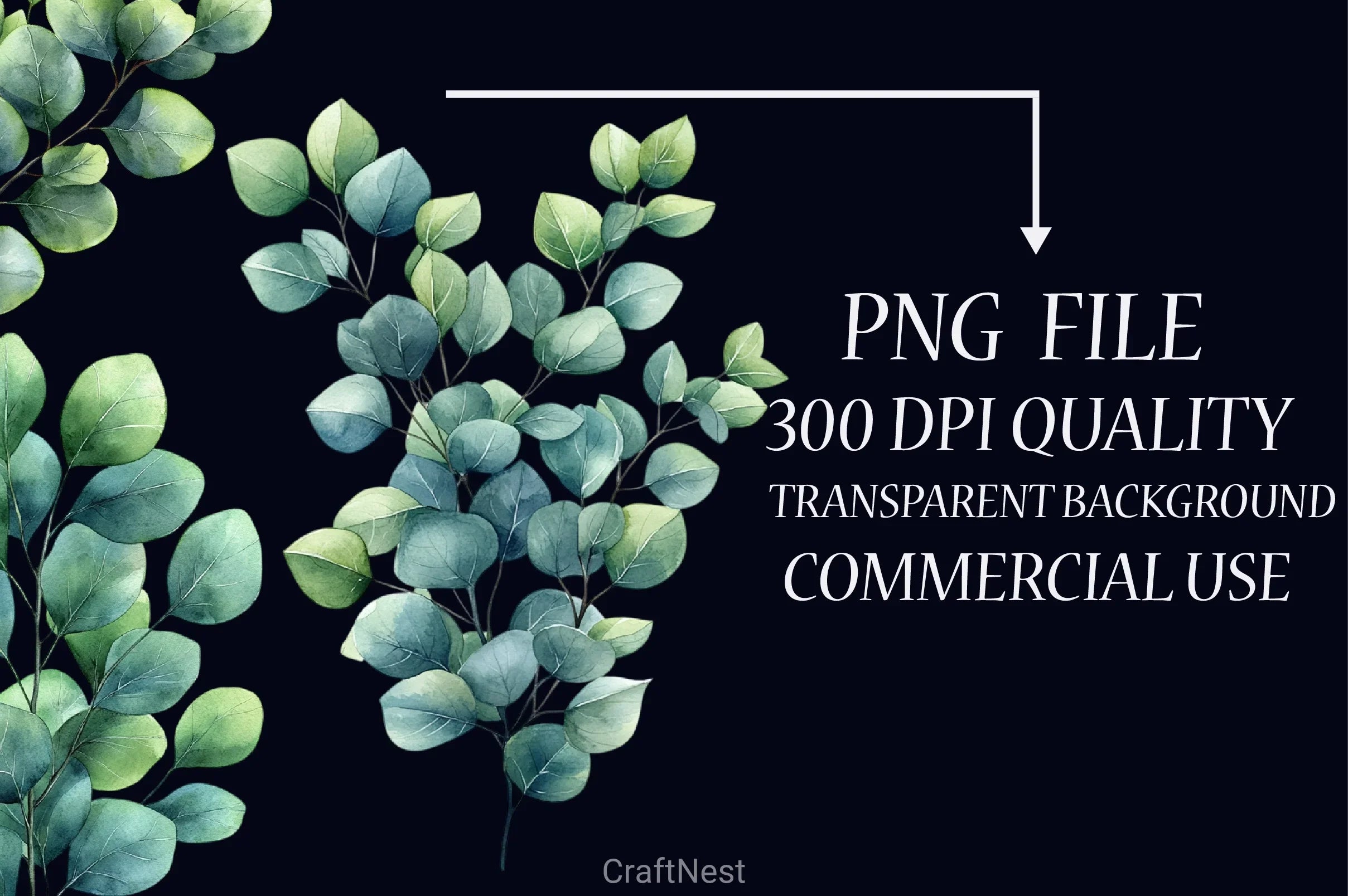 Eucalyptus Leaves Clipart Bundle 5 - CraftNest - Digital Crafting and Art