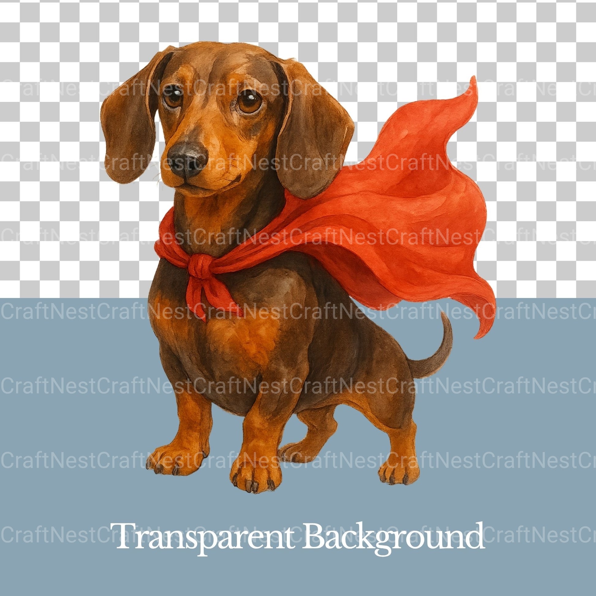 Dachshunds Clipart Bundle 1 - CraftNest - Digital Crafting and Art