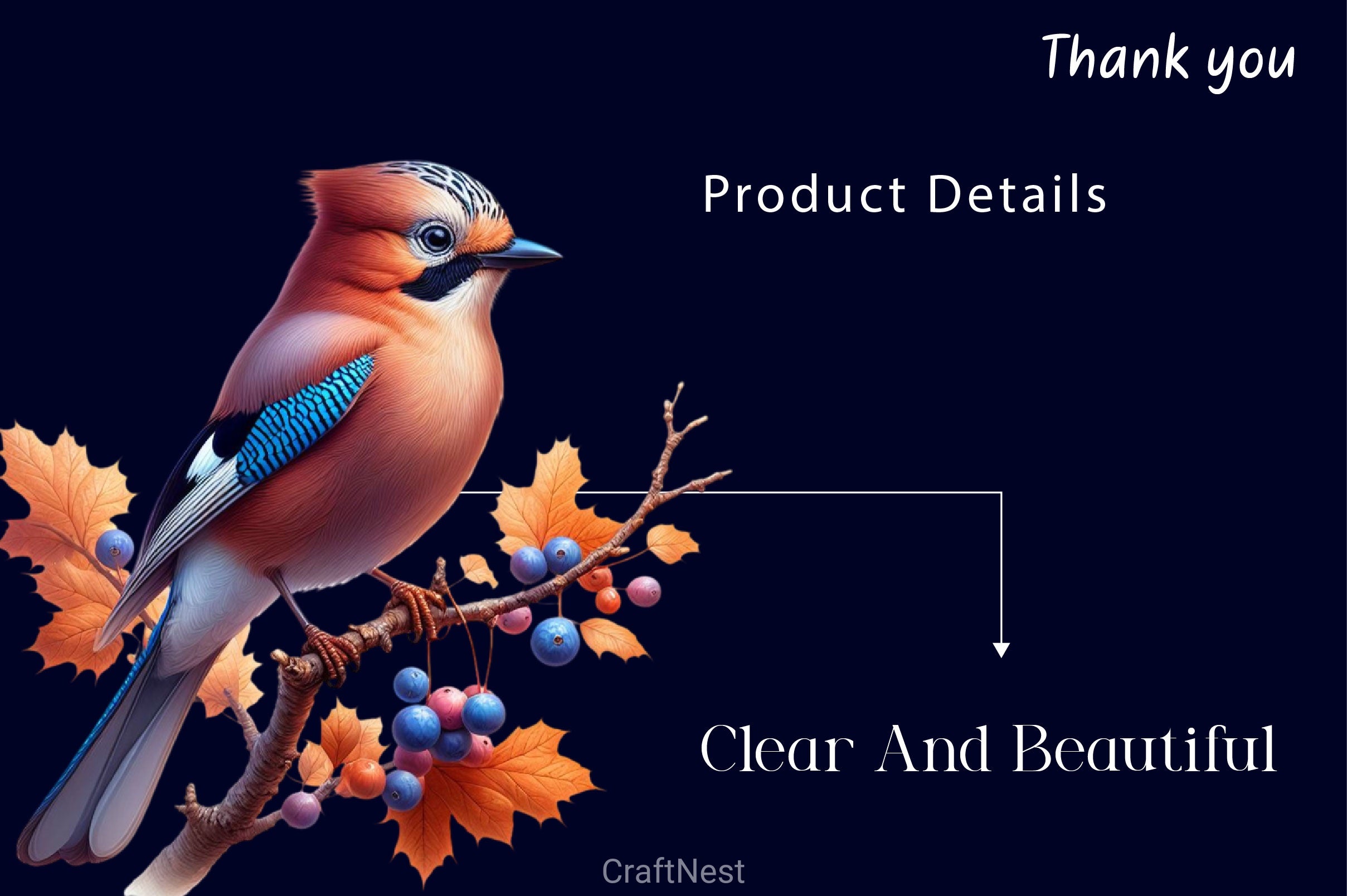 Cute Autumn Jay Clipart Bundle 2 - CraftNest - Digital Crafting and Art