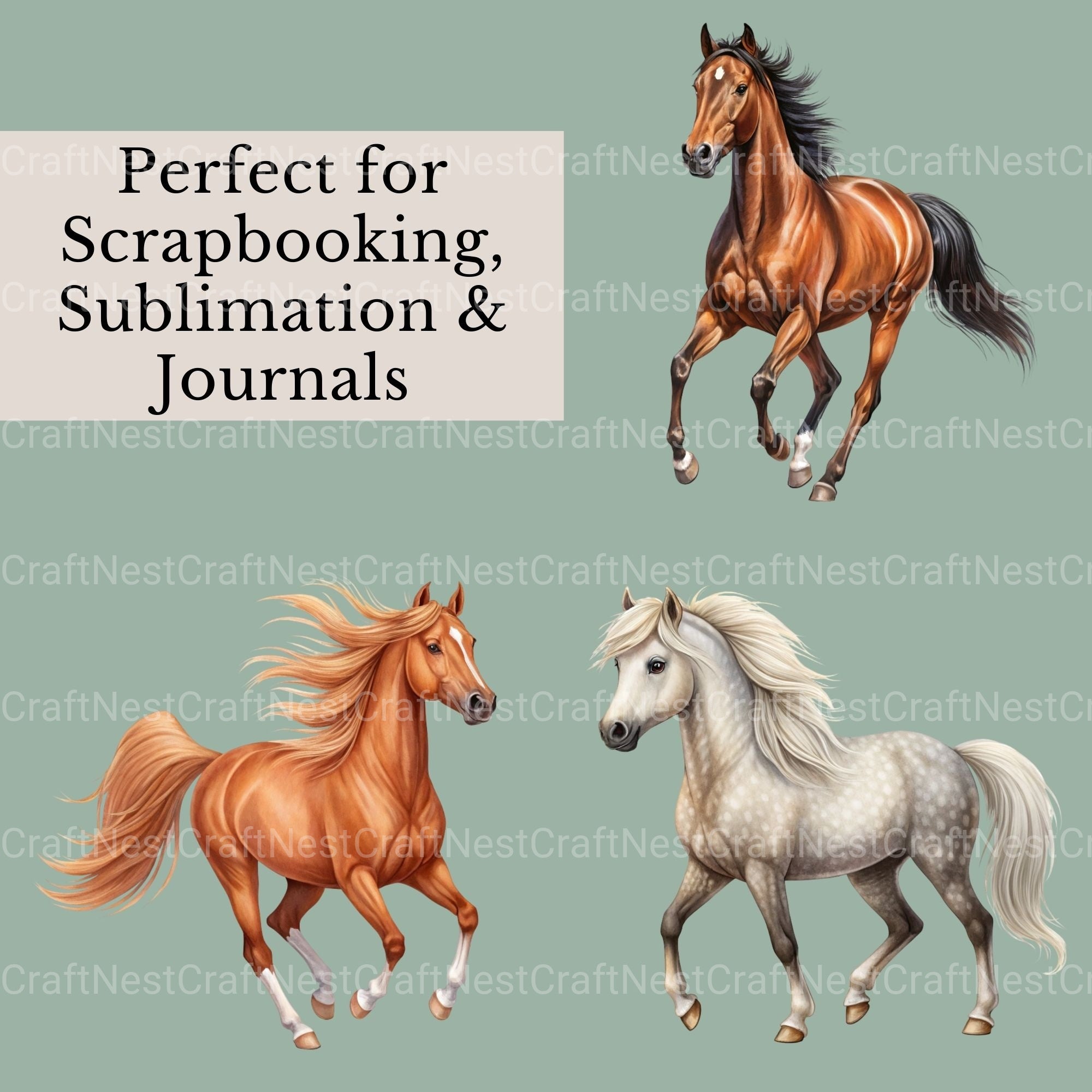 Horses Clipart Bundle 3 - CraftNest - Digital Crafting and Art