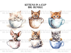 Kitten In A Cup Clipart - CraftNest