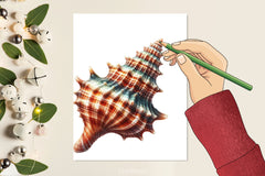 Seashell Clipart Bundle - CraftNest - Digital Crafting and Art