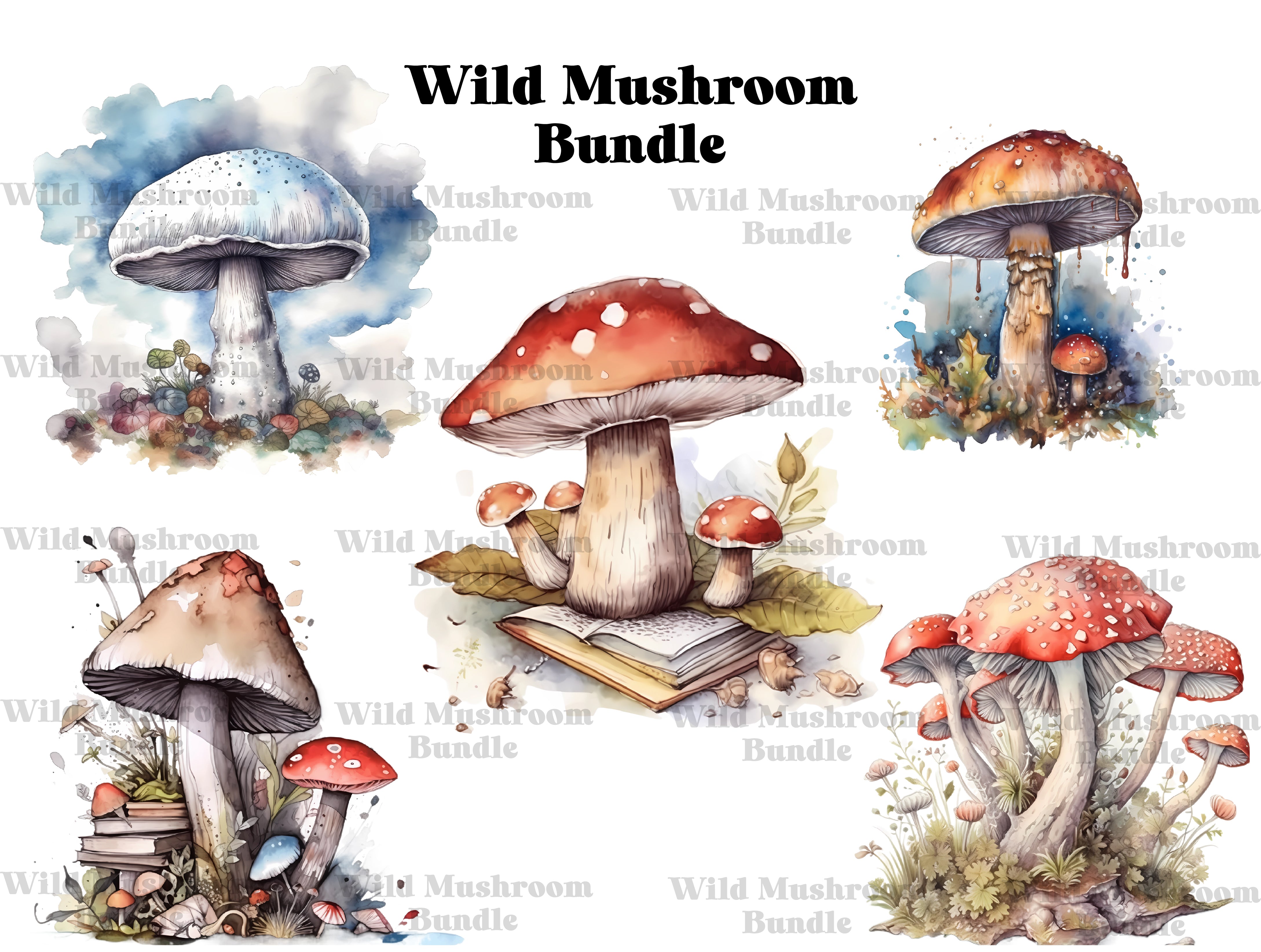 Wild Mushrooms Clipart - CraftNest