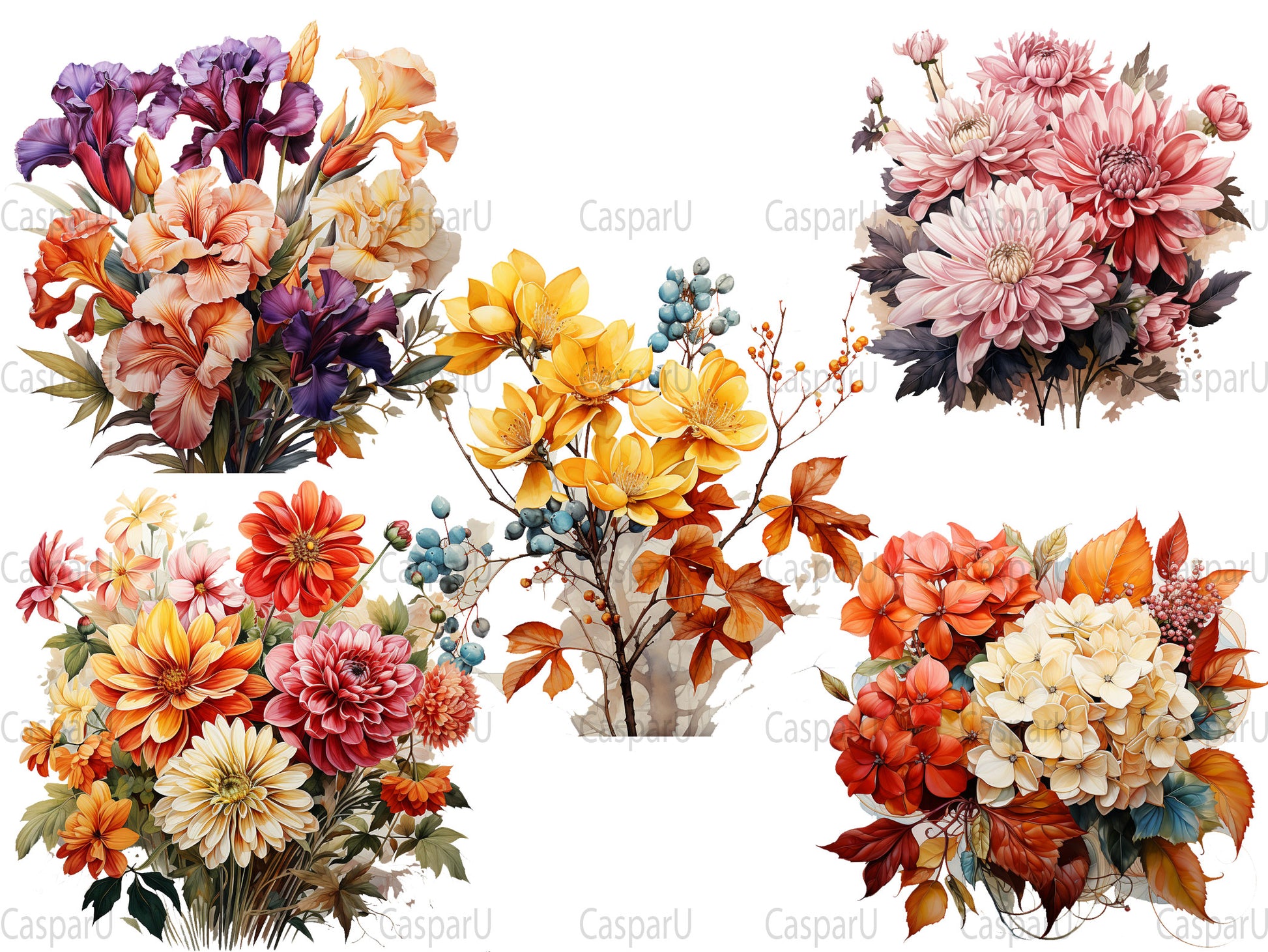 Autumn Floral Beauty Clipart - CraftNest