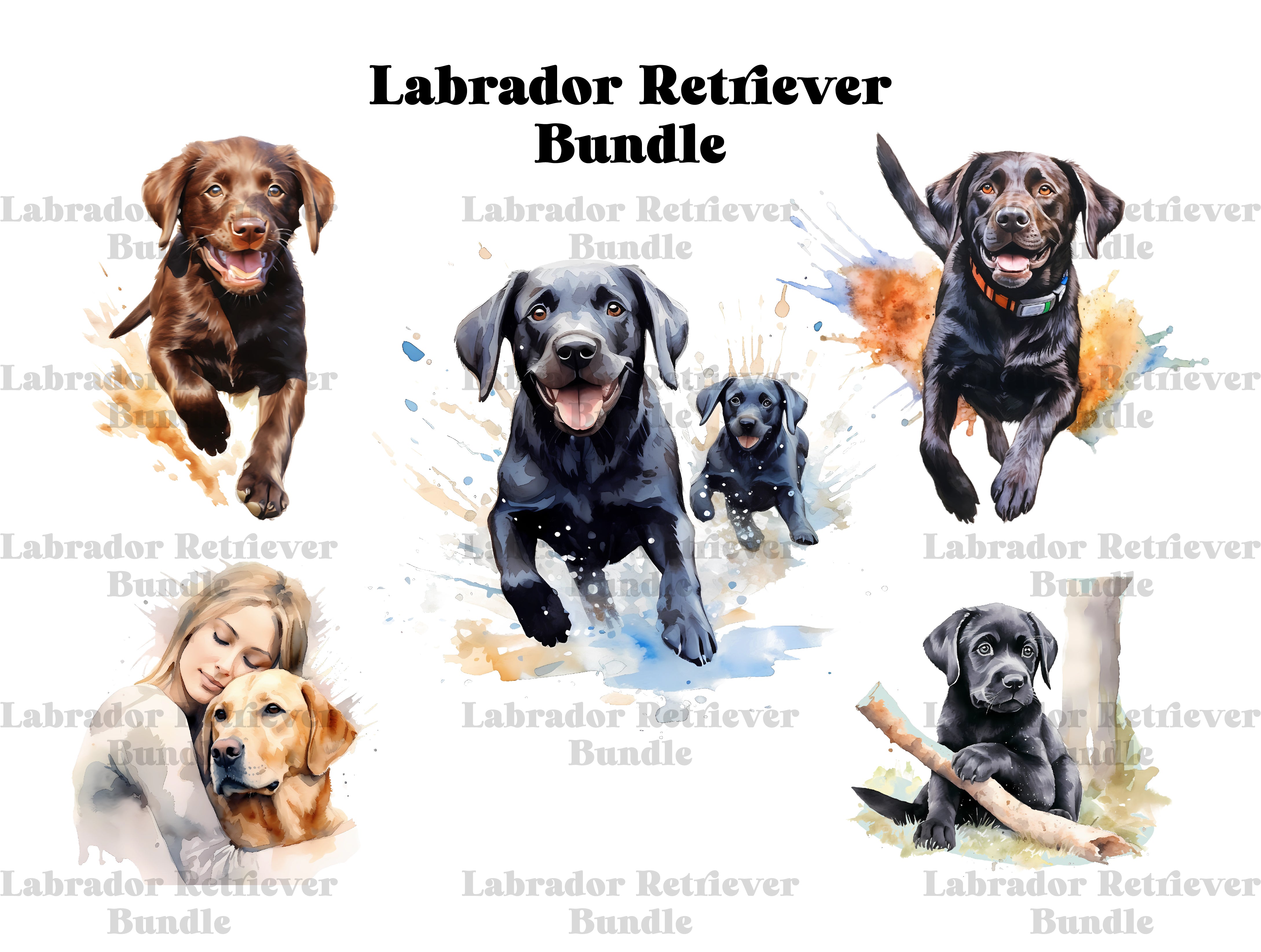 Labrador Retriever Clipart - CraftNest