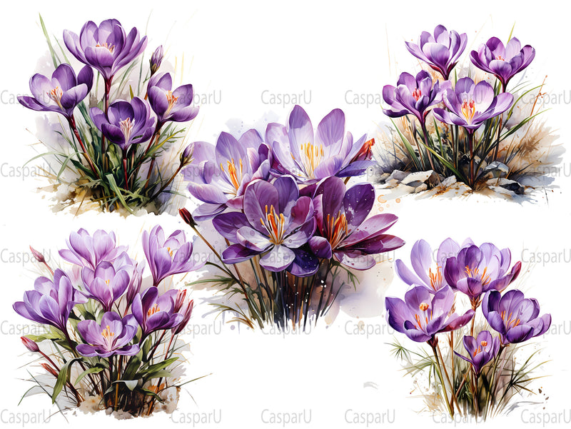 Crocus In The Crisp Clipart - CraftNest