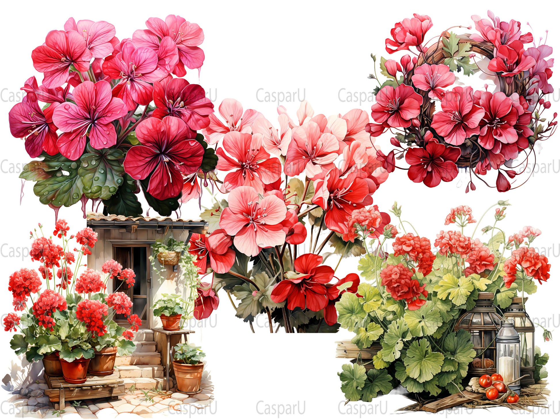 Fall Geraniums Clipart - CraftNest