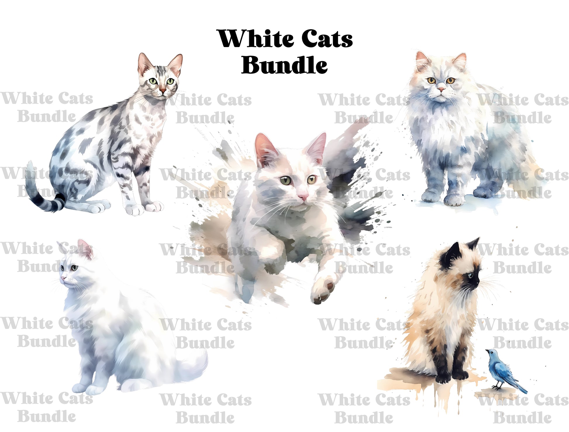 White Cats Clipart - CraftNest