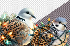 Christmas European Turtle Dove Clipart Bundle - CraftNest - Digital Crafting and Art
