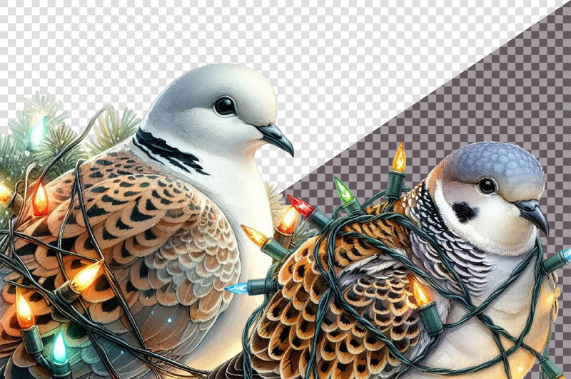 Christmas European Turtle Dove Clipart Bundle - CraftNest - Digital Crafting and Art