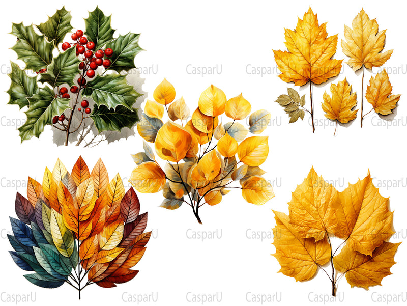 Autumn Leaves Collection Clipart - CraftNest