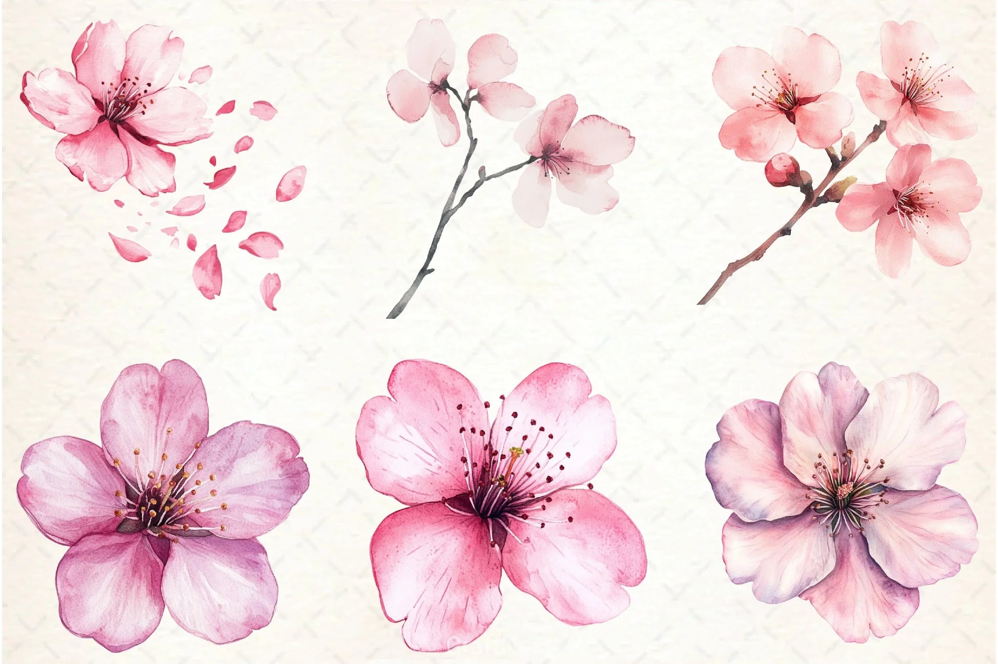 Cherry Blossom Clipart Bundle - CraftNest - Digital Crafting and Art