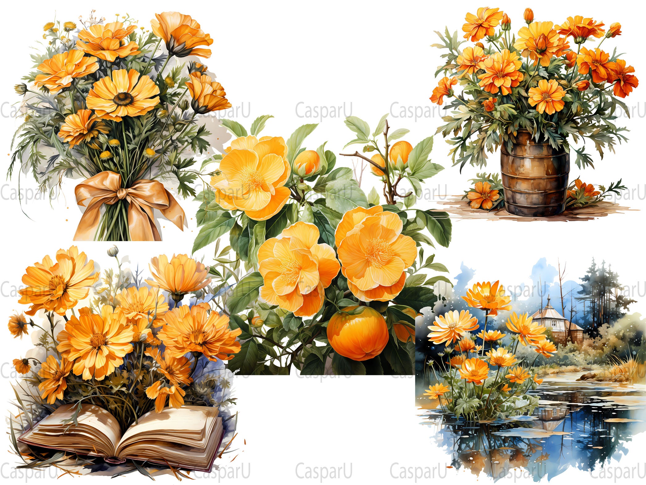 Marigold Magic Clipart - CraftNest