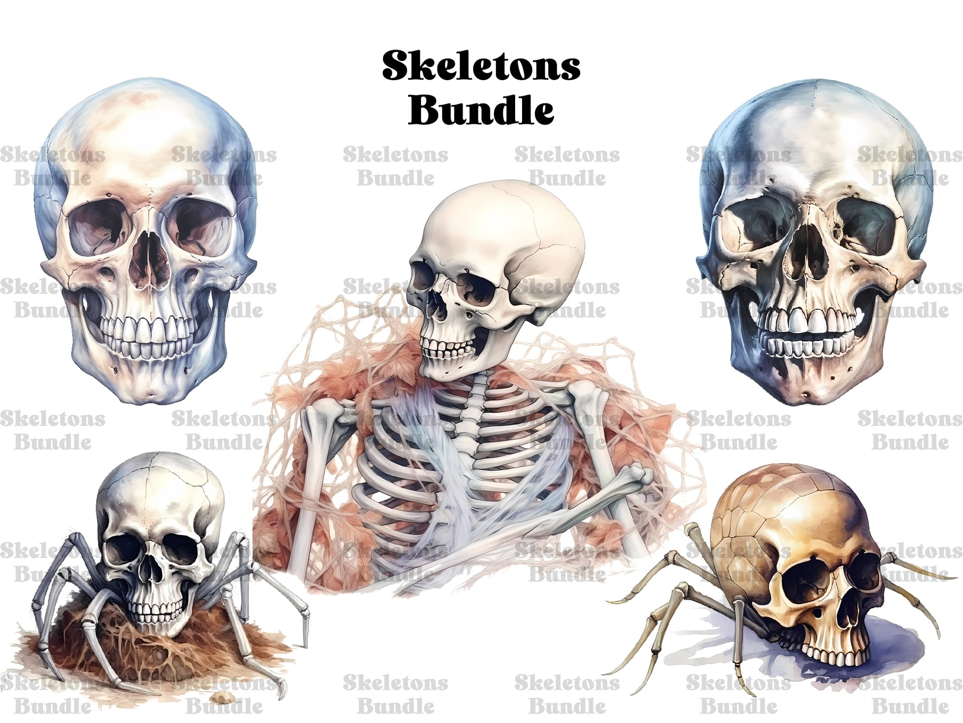 Skeleton Clipart - CraftNest