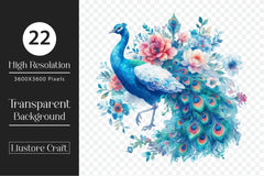 Floral Peacock Clipart Bundle - CraftNest - Digital Crafting and Art