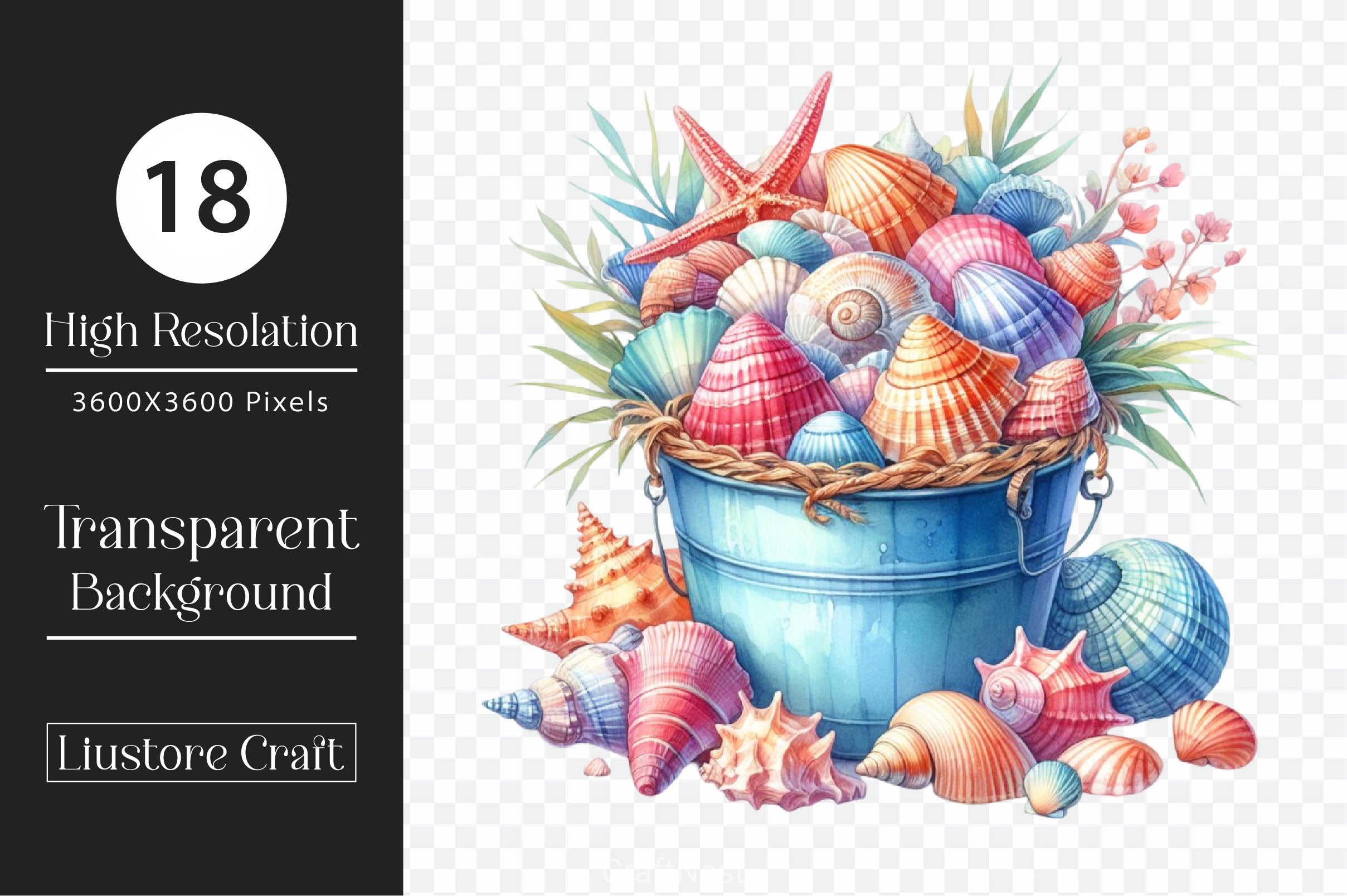 Seashells In A Bucket Clipart Bundle - CraftNest - Digital Crafting and Art