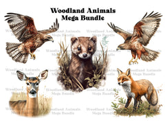 Woodland Animals Clipart - CraftNest