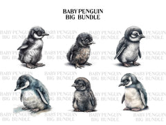 Baby Penguins Clipart - CraftNest