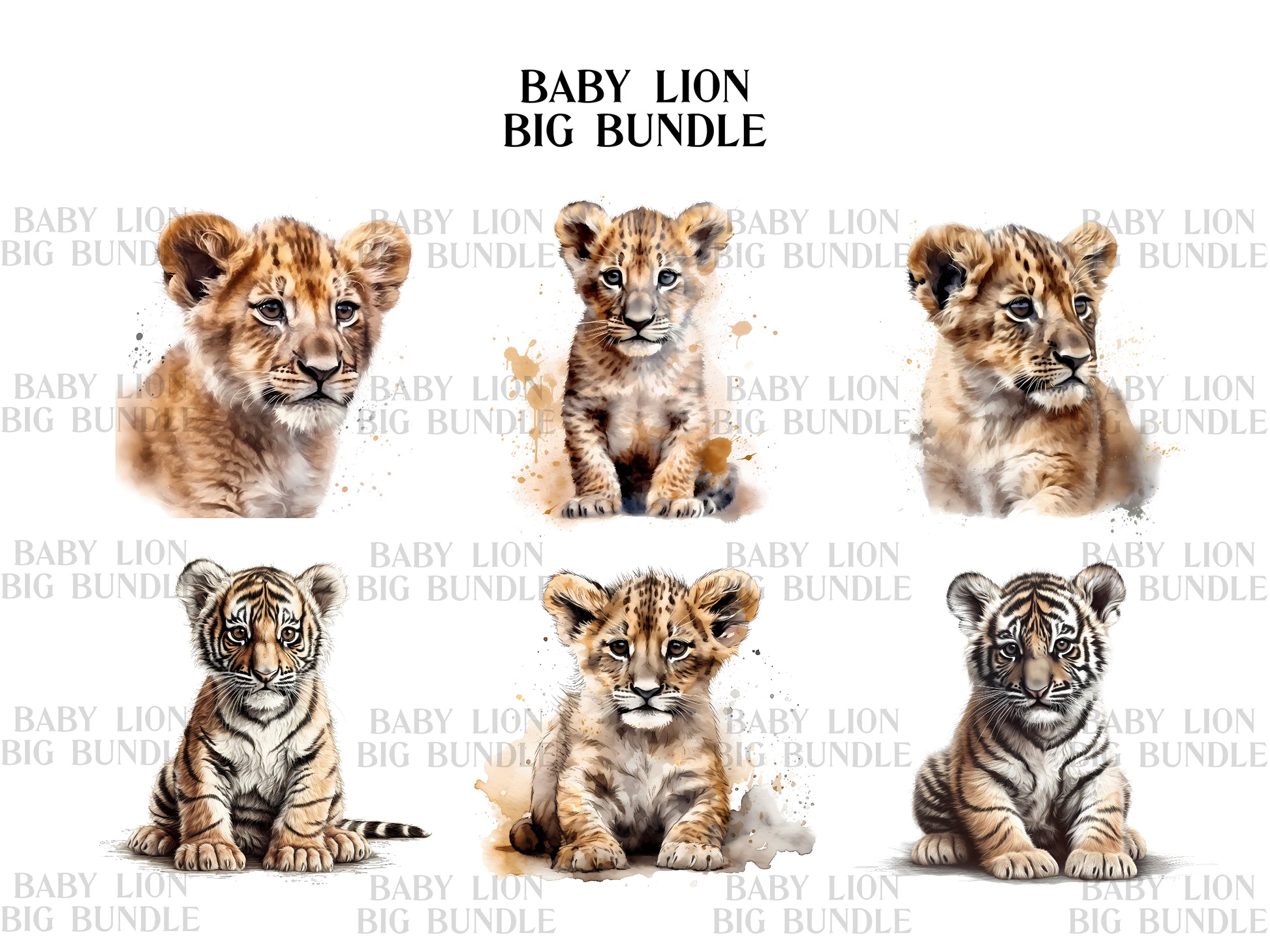 Baby Lion Clipart - CraftNest