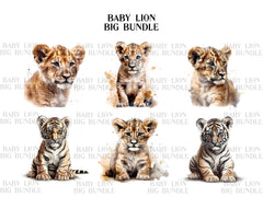 Baby Lion Clipart - CraftNest